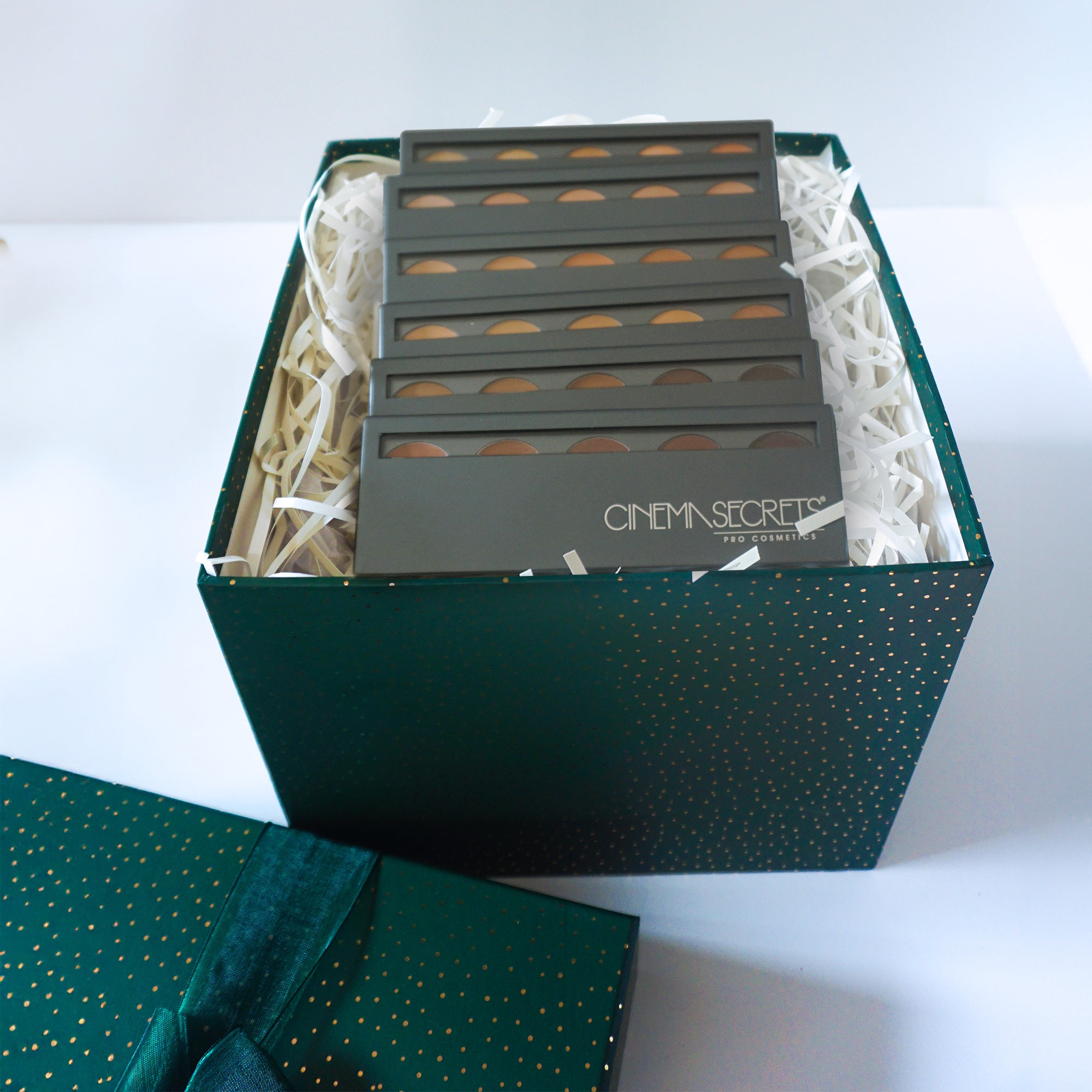 Cinema Secrets Ultimate Pro Complexion Kit palette fond de teint