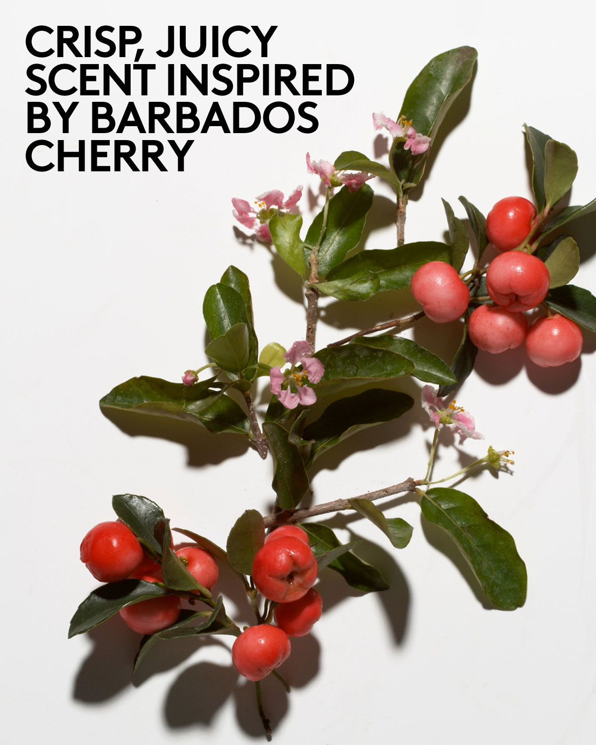 Fenty Beauty Cherry Dub gommage corps AHA sucre cerise 240 ml