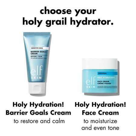 E.L.F. Moisturizers Holy Hydration crème visage avoine cica